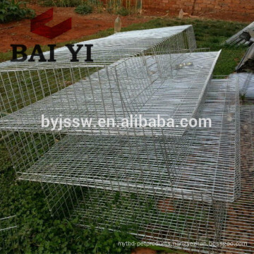 China Hot Sale Low Price New Design Egg Quail Cage for Laying Hen